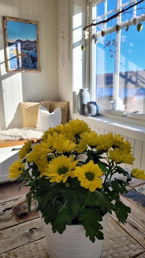 Haramsoy Holiday Apartment- Island Life North Dış mekan fotoğraf